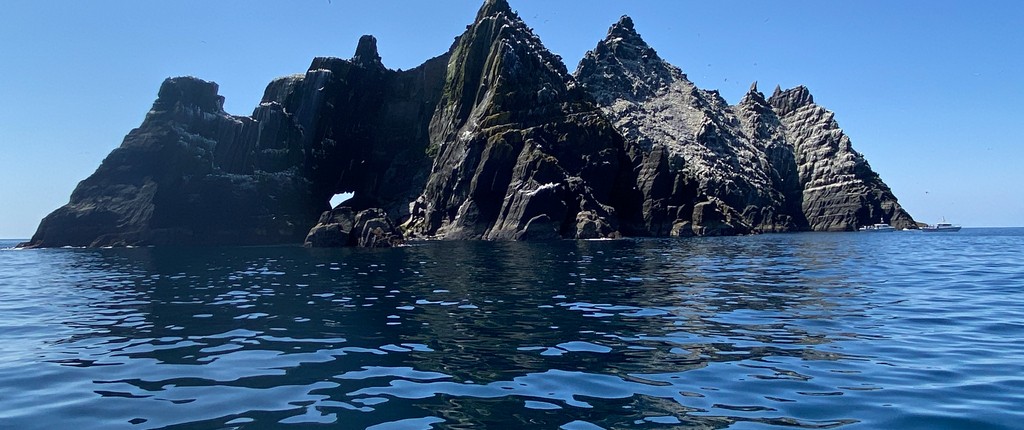 the magnificent little skellig gannet colony