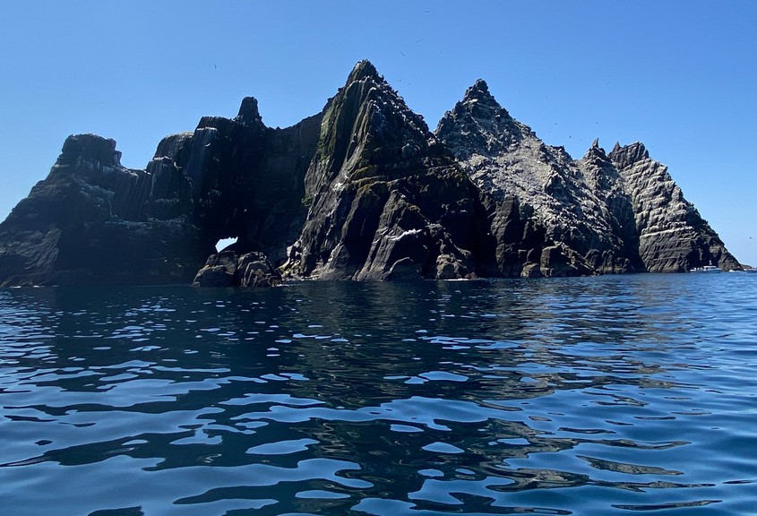 the magnificent little skellig gannet colony